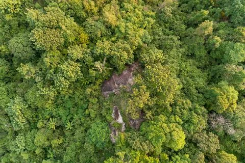 Aerial high angle view top down rainforest trees. Abundance of tropical fores Stock Photos