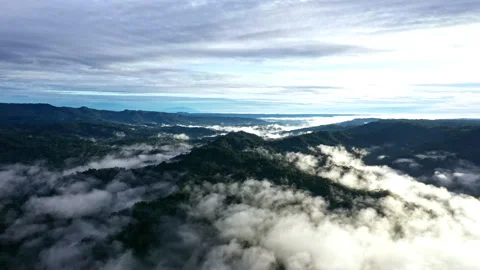 Aerial high angle view of a tropical forest covered in fog 库存影片 336869976