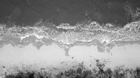 Aerial high angle view of waves along the shore of the ocean in black and white. Stock Footage 126938023