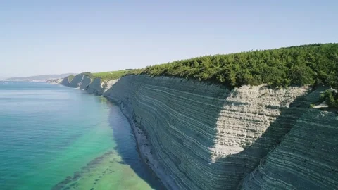Aerial of high steep cliffs covered with pine trees and wild pebble beach with Video stock 203858672