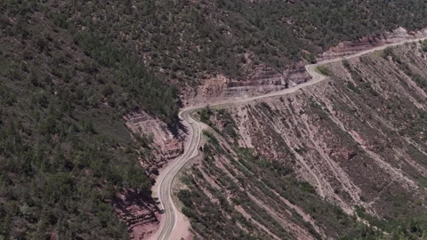 Aerial of Highway 145 through forested canyon in western Colorado with red rock Stock Footage 341995540