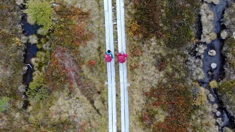 Aerial of hikers top down on parallel wood plank path Stock Footage 122094449
