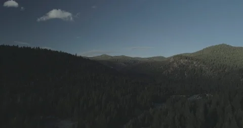 Aerial of a hilly forrest area Stock Footage 99307849