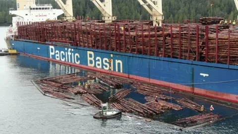 Aerial: Hoisting a log bundle out of the water and onto a ships deck Stock Footage 149900039
