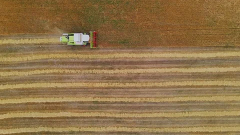 Aerial horizontal drone view of a modern combine harvester reaping wheat Stock-Footage 201969044