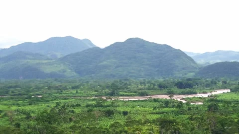 Aerial horizontal panning Amazon Peru Video stock 323213100