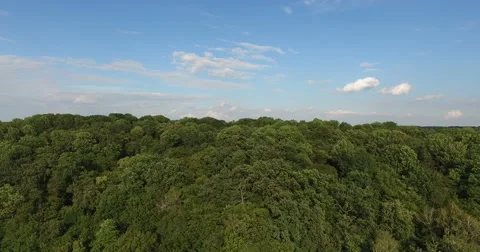 Aerial Horizontal View of Tree Tops Green Forest Stock Footage 68722125