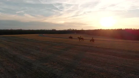 Aerial of Horse Grazing in Field during Sunset with Riders Stock-Footage 149082453