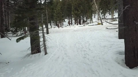 Aerial hover 4K drone snow reverse reveal snowy day trees Stock Footage 143996060