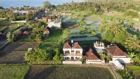 Aerial hover above rice fields in Amed Stock Footage 329244544