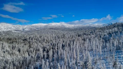 Aerial hyper lapse flying over a snow covered forest in winter. Video stock 102812211