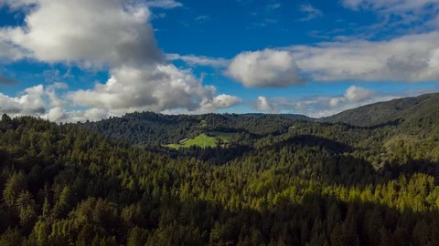 Aerial hyper-lapse flyping over a Redwood forest in California. Timelapse. 库存影片 102285100