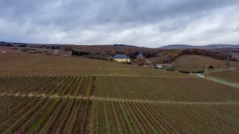 Aerial hyper lapse from vineyards Stockbeeldmateriaal 99251298