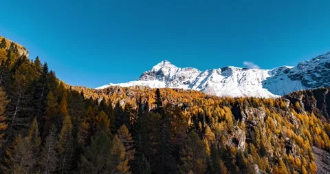 Aerial hyperlapse of autumn forest and snowy mountains in Italy Stock Footage 334712804