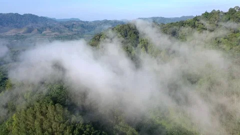 Aerial hyperlapse forest and clouds Stock Footage 120545989