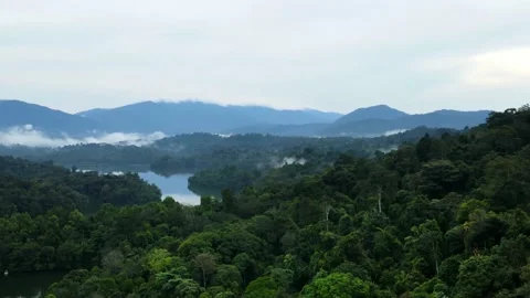 Aerial Hyperlapse of forest and mountains on the background with fog Stock Footage 152938169
