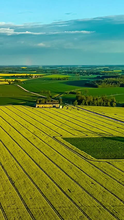 Aerial Hyperlapse Forward Over Yellow Rapeseed Farmland Rural Latvia Spring Stock Footage 337649211