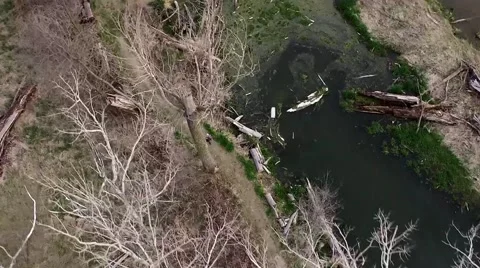 Aerial Hyperlapse Over Forest/Hiker Stock Footage 52185798