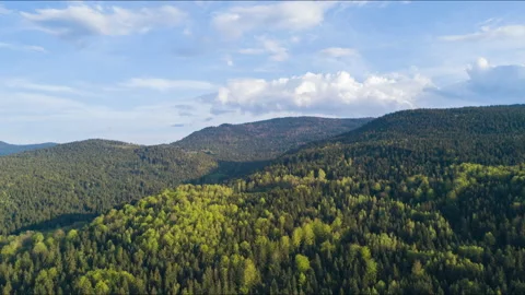 Aerial Hyperlapse over forrest with clouds 4K Stock-Footage 145670177