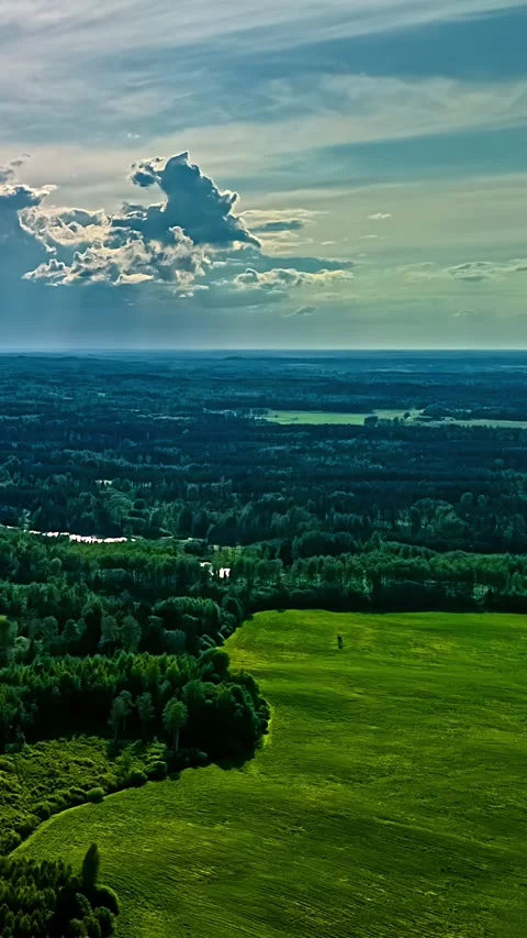 Aerial Hyperlapse Over Wild Latvian Forest and Rural Farmstead at Dusk Stock-Footage 345117900