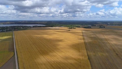 Aerial hyperlapse of shadows arriving over a crop field Stock Footage 93665285