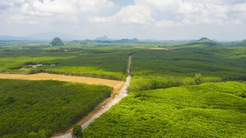 Aerial Hyperlapse Time lapse of a rural road through a forest with lush greenery Stock Footage 112400052