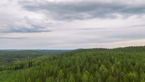 Aerial hyperlapse view over Scandinavian forest tree canopy with drifting clouds Stock Footage 300395595