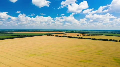 Aerial Hyperlapse of wheat field at summer. Beautiful rural landscape. Stock Footage 135120665