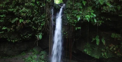 Aerial of idyllic Emerald Pool waterfall in secret canyon in Dominica Vidéo 69952806