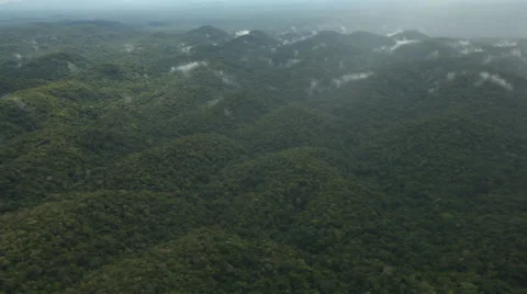 Aerial image of the Amazon Stock Footage 25853389
