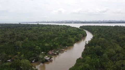 Aerial image of the amazon, Ilha do Combu Belém do Pará Video stock 195100974