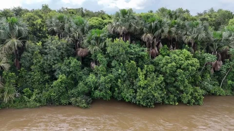 Aerial image of the apore river Stock Footage 273531053