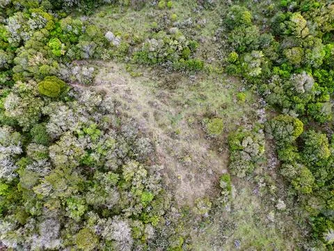 Aerial image looking down on a field with bushes and trees. Ideal to repres.. Stock Photos