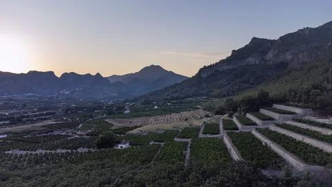 Aerial image of terraced fields of fruit trees at the foot of the Marxuquera Stock Photos