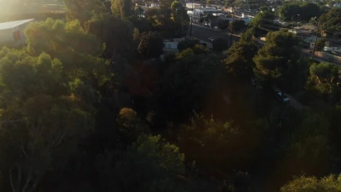 Aerial image of trees in a Summer camp mid October Stock Footage 121609567