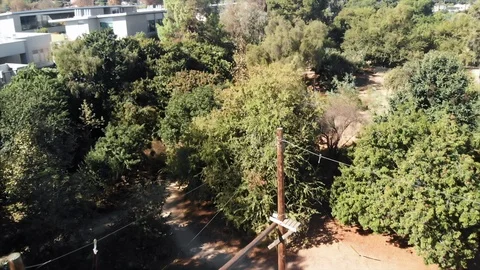 Aerial image of trees in a Summer camp mid October Stock Footage 121609623