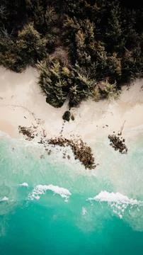 Aerial   image   of   waves   hitting   a   tree   lined   sandy   coast Stock Photos