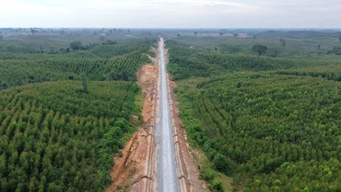Aerial Infrastructure Development Road Project Forest 4K Stock Footage 339514093