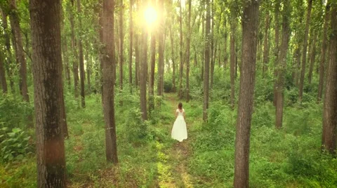 Aerial Inside Woods Through Trees As Woman Walks Through Forest White Vintage Stock Footage