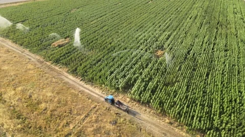 Aerial irrigation system fields Stock Footage 240757058