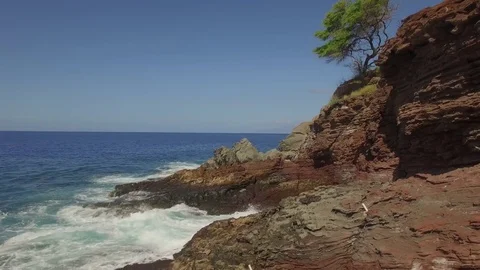 Aerial Jib Up CLliffs &amp; Old Tree To Reveal Ocean &amp; Coastline. Video stock 74110835
