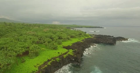 Aerial Jib Down Over Jagged Lava Rock Jungle Coast-line. Dark, gloomy, gray. Stock Footage 75123744