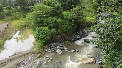 Aerial Jungle River Stock Footage 170746718