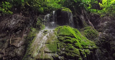 Aerial Jungle River Stream with Clear Water Flow and Natural Rocks 스톡 동영상 332350431