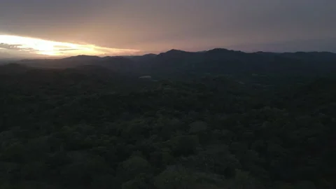 Aerial JungleHills Storm01 PullBackP2 Stock Footage 235096322