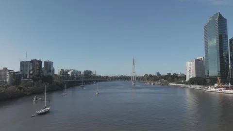 Aerial of the Kangaroo Point Bridge and Moored Boats by Day Vidéo 345085528