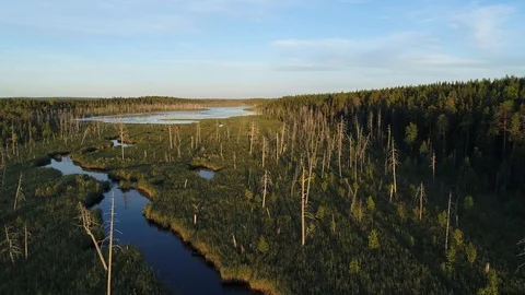 Aerial, Karelia, lake, river, swamp Stock Footage