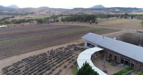 Aerial of Karoomba Vineyard Stock Footage 80900295