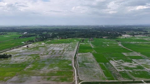 Aerial Labuh Banting Rice Fields Rural Landscape Overview Видео 329370394