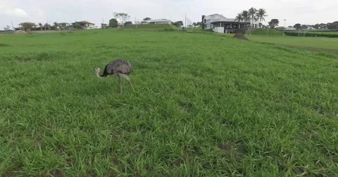 AERIAL OF LAGO DO MANSO, MATO GROSSO, BRASIL Stock Footage 59497742